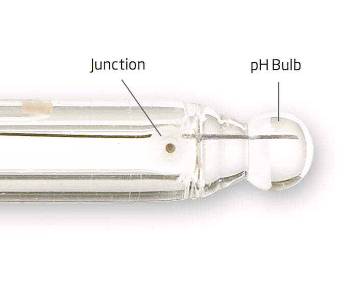 hanna-junction-ph-bulb-closeup